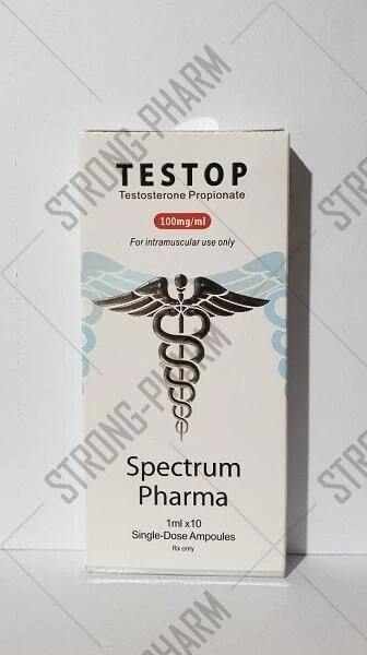 TESTOP (тестостерон пропионат) от SPECTRUM